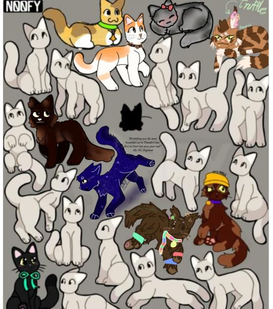 Cat collab