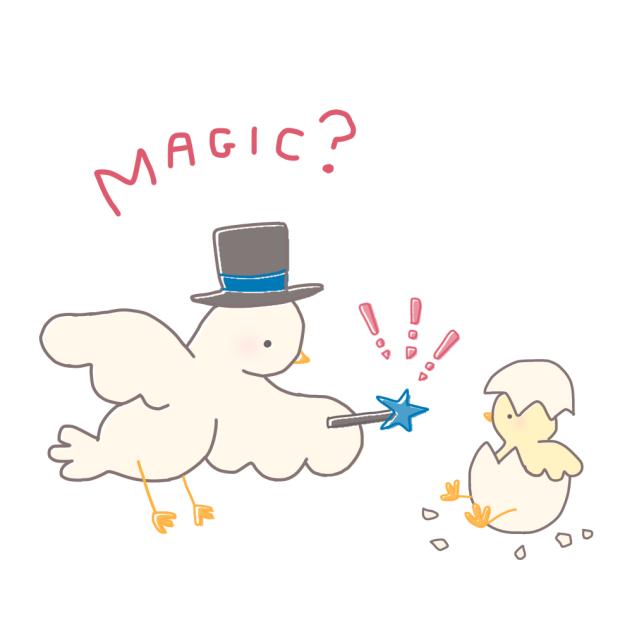ハトさんのマジック？