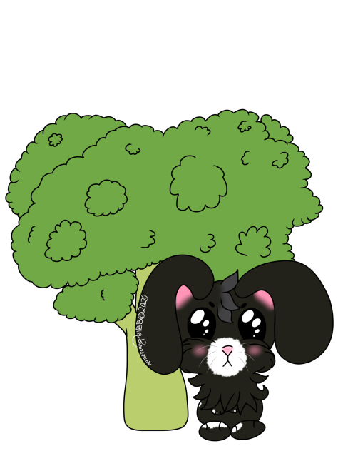 Chibi Black Bunny With Broccoli-