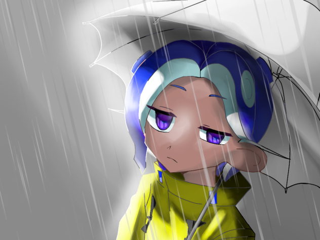 応募です