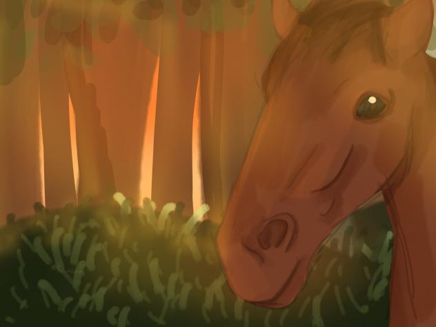 horse 🐎