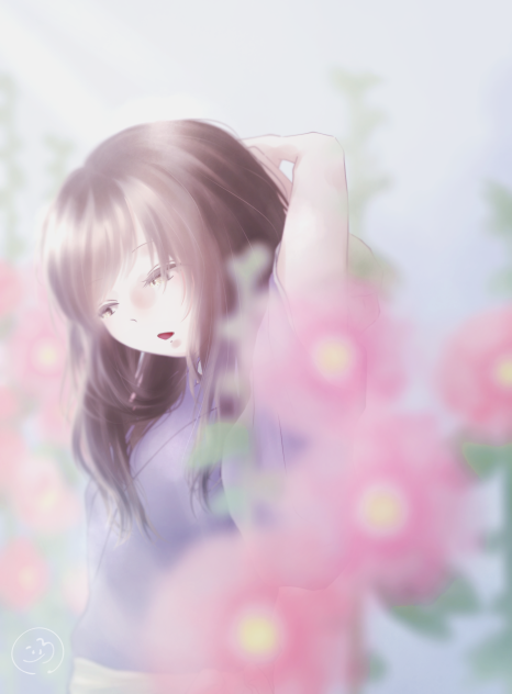 立葵