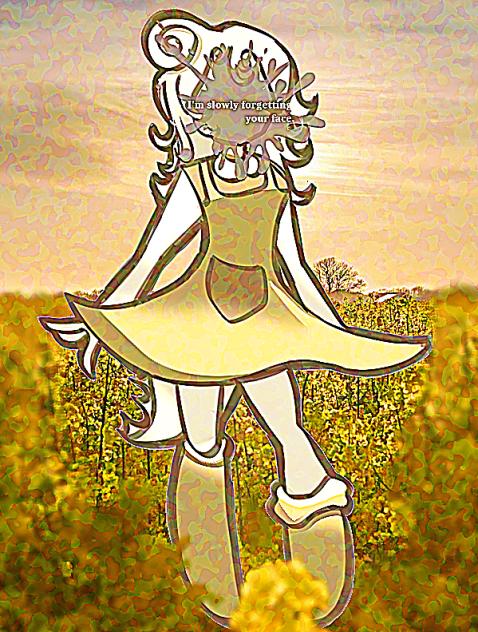 I'm slowly forgetting your face.