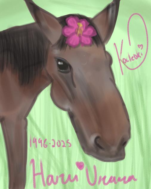 20250909 in loving memory haru urara - ibisPaint