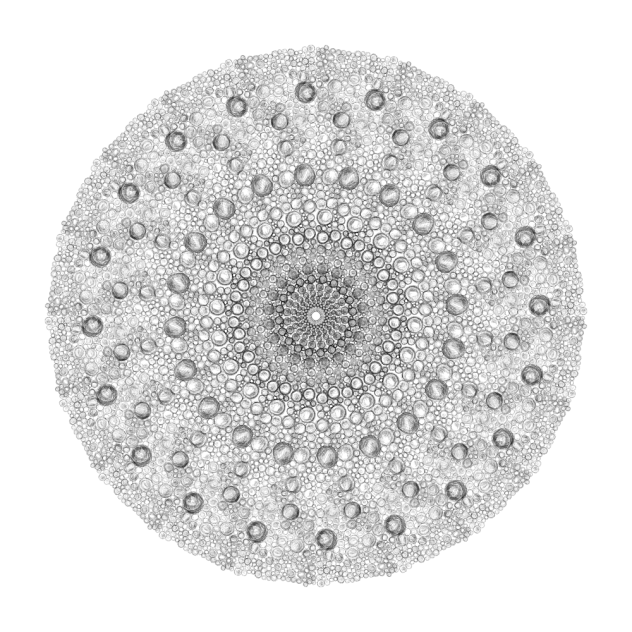 circle - ibisPaint