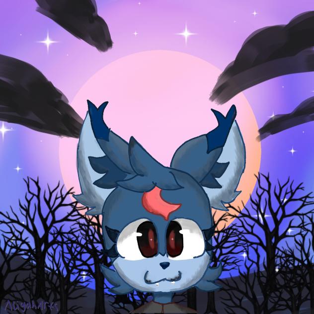 eclipse✨🌙