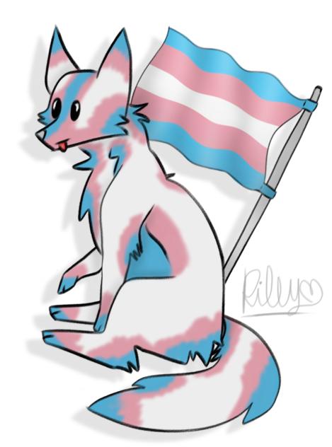 trans fox flag!