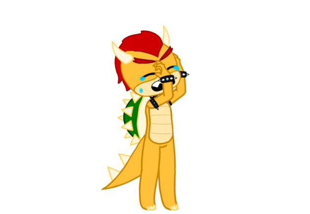 Bowser model