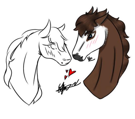 ~ Thalia x Stu COLLAB ~