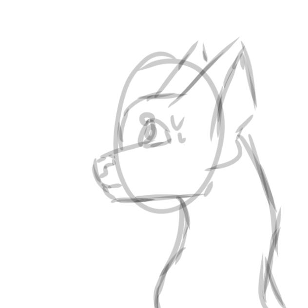 ✨Random Animation✨