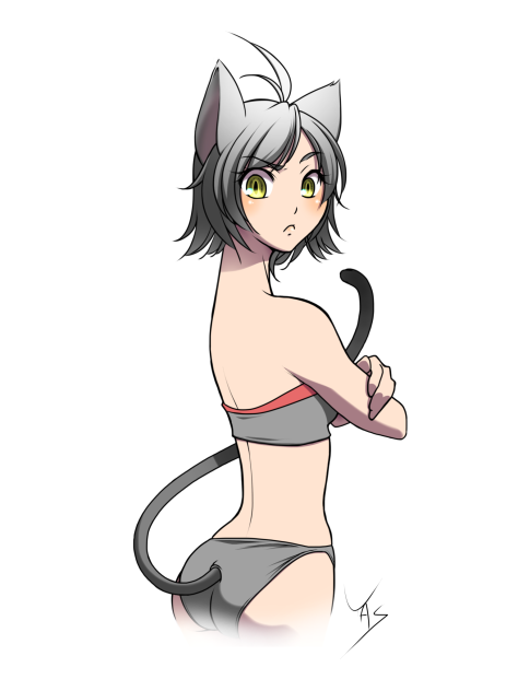 猫川 猫葉 (ねこば)ちゃん
