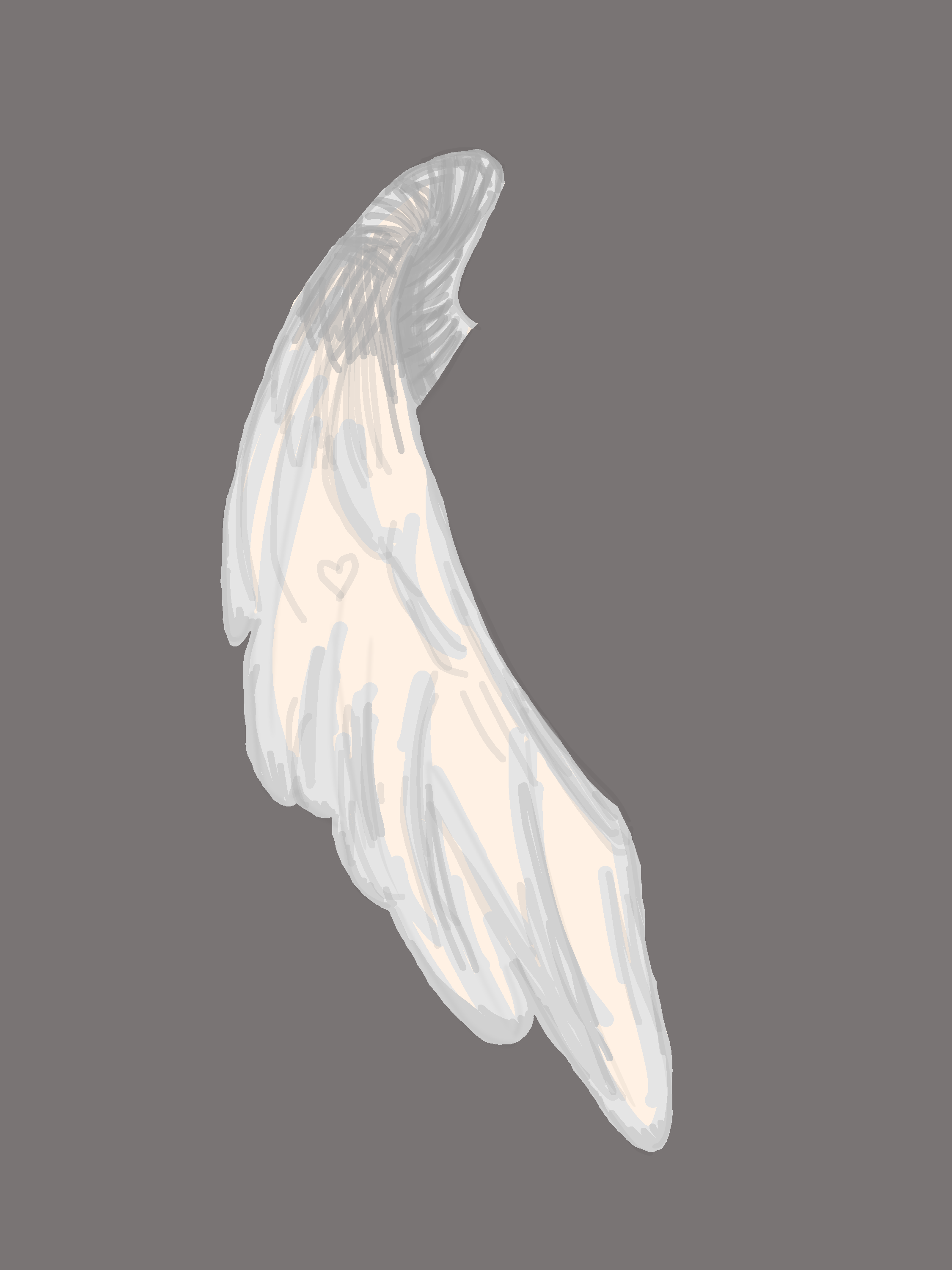 WIP wing - ibisPaint