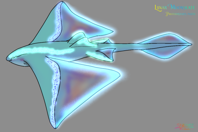 Lunar Moonskate (2023) glow