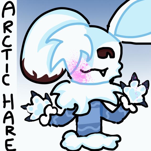 !!ARCTIC HARE!!