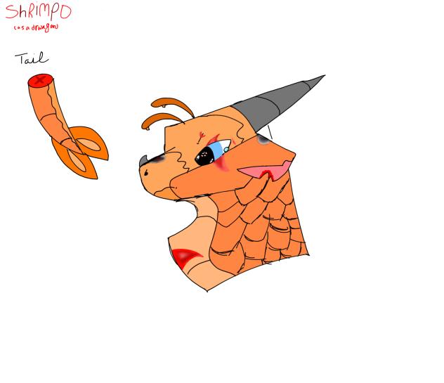 Shrimpo as a dragon!!