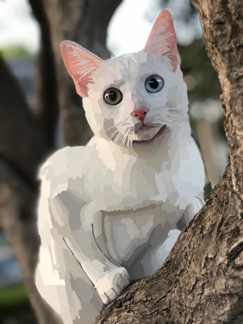 Kitty!!!