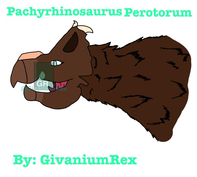🦖 Fluffy Pachyrhinosaurus Perotorum 🦖