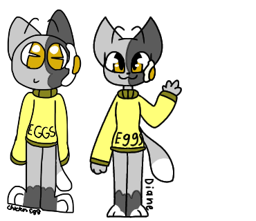 for chicken egg