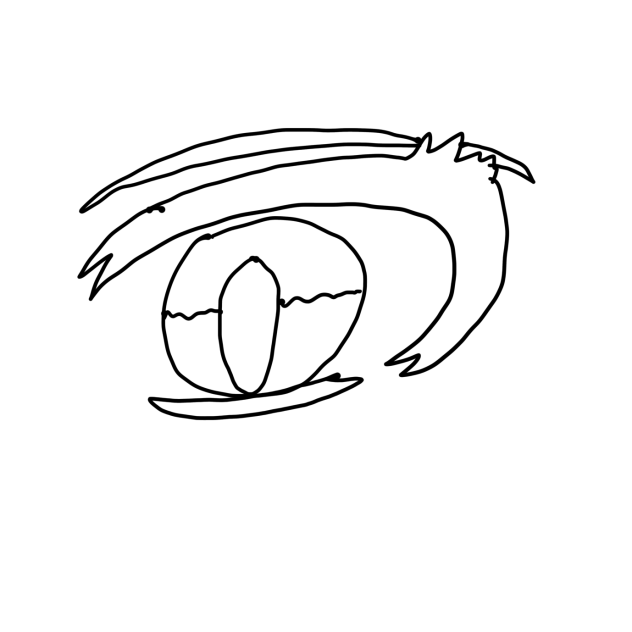 目の塗り絵(何それ