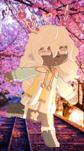 Cherry . Blossoms