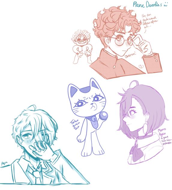 ✈️✈️✈️✈️