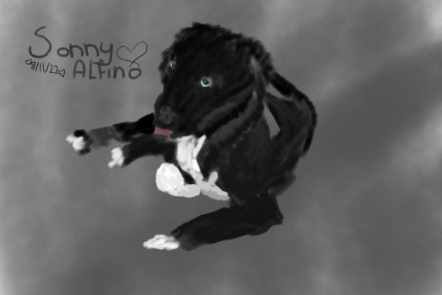 Art of my dog!! (Sonny)