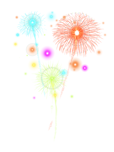 firework 08