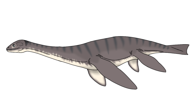 Kaiwhekea katiki render