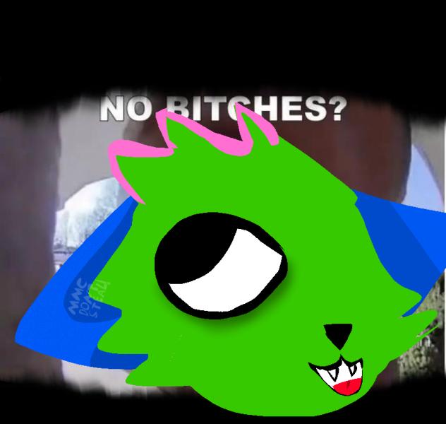 No bitches