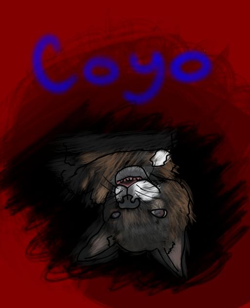 coyo