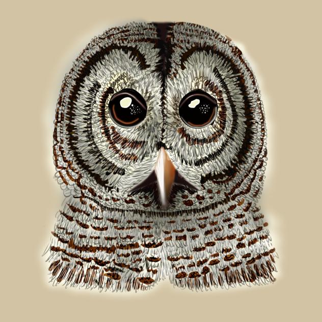 owl