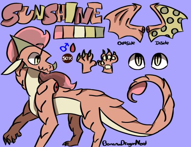 Sunshine - Ref