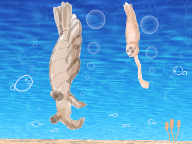 シンクロしている海の古代生物