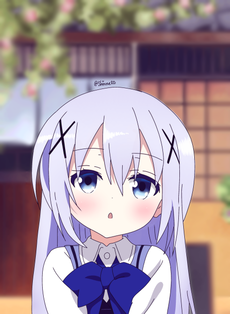 チノちゃん