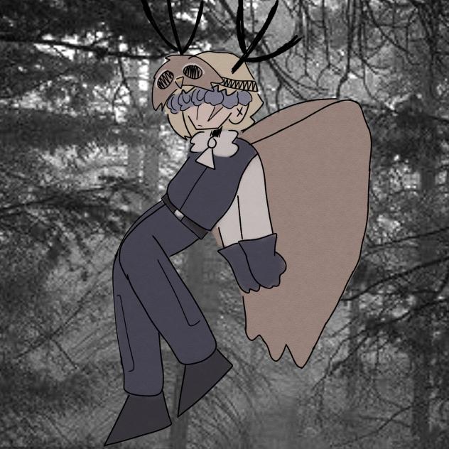 the north wind's forest