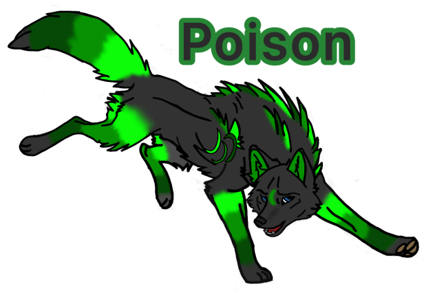 dog tribe 6