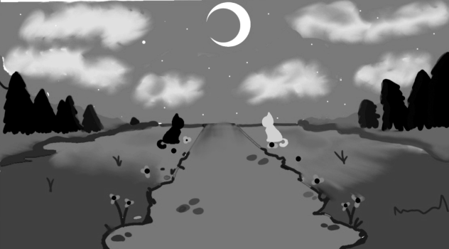 two cat on the night