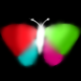 Colorful Butterfly Imprint
