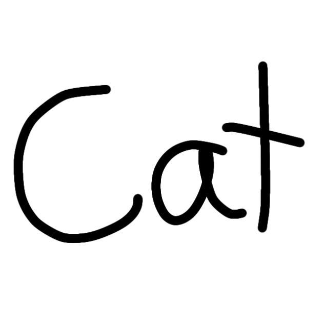 Cat🐱