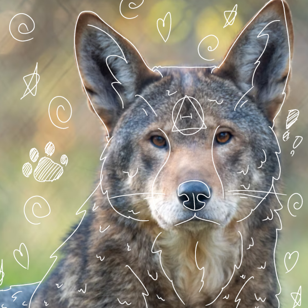 Red Wolf Therian 4 Clover!