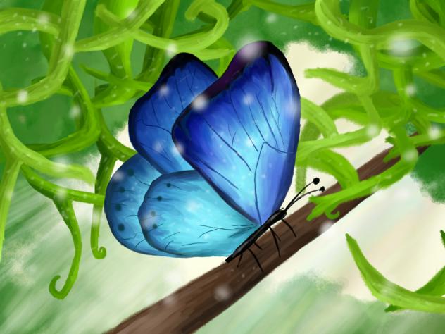 butterfly from a fairytale hehe