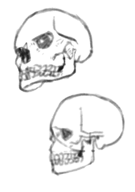 Dynamic Drawing 08.16.0700