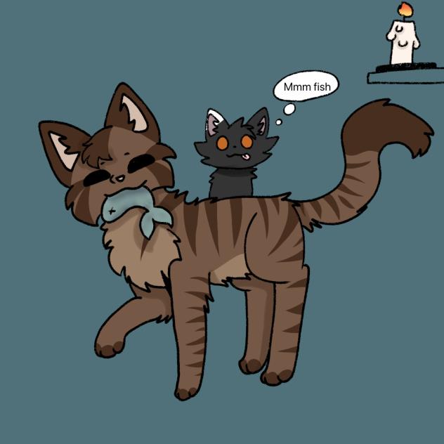 Cat wants to steal fish