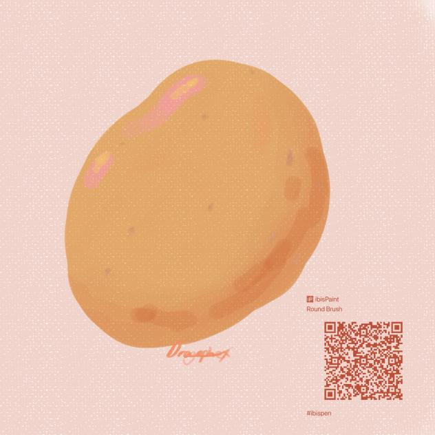 Potato + Brush