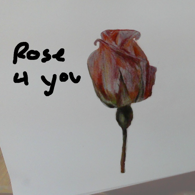 rose 4 everyone