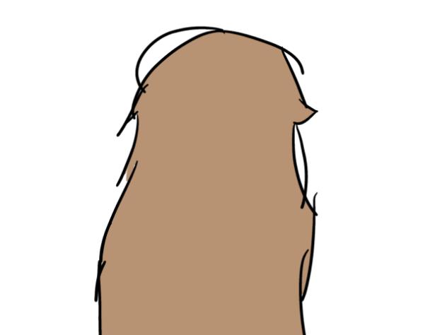 animation yayy