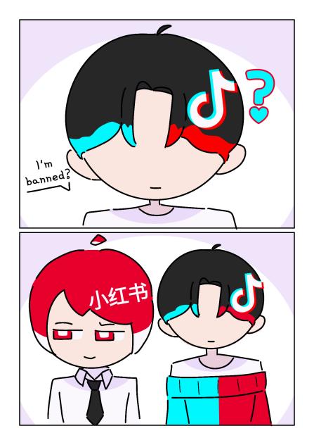 TikTok gets banned by the US (Comic)
