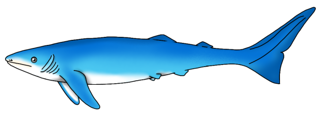 Timingila (2023) render