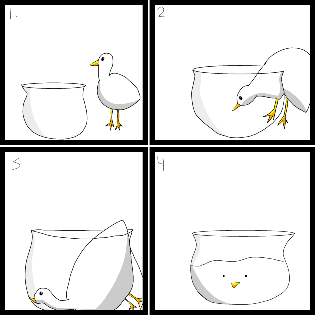 duck 🦆