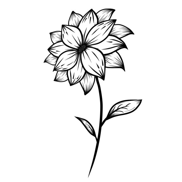 Flowers ♡♡♡3